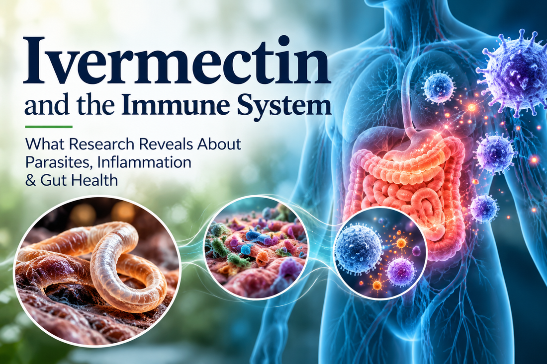 "Exploring the relationship between ivermectin, parasitic infections, gut health, and immune responses, including emerging research into inflammation and immune signaling."